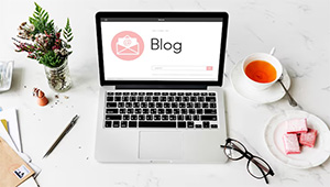 What Makes a Great Knowledge Base for AI?